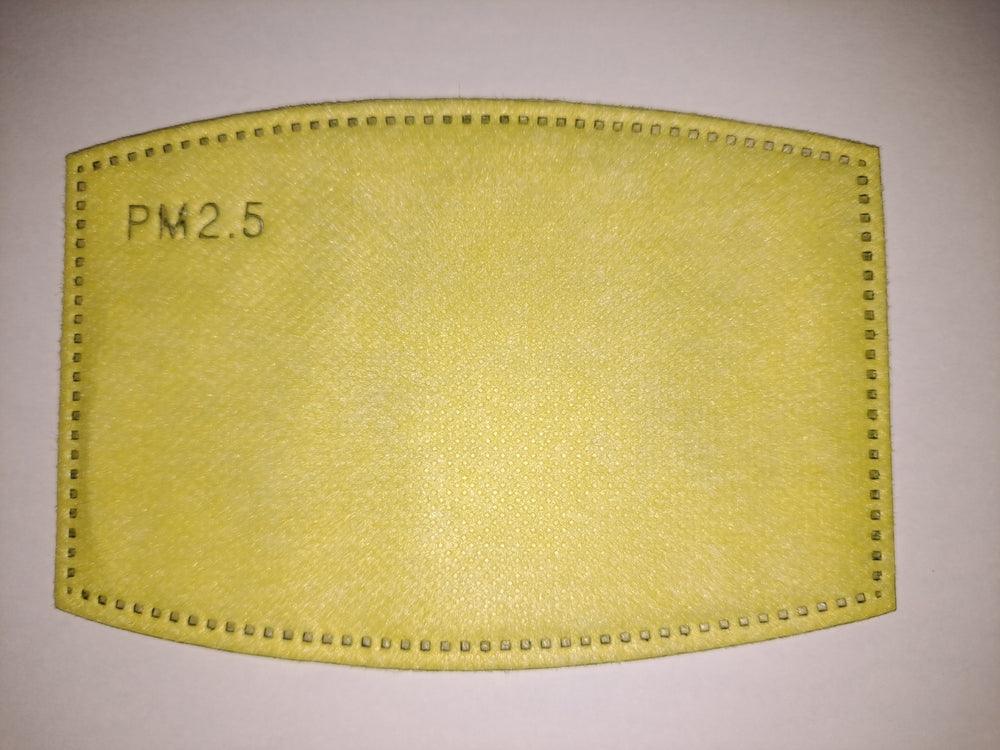 PM 2.5 Filters - 15 day supply