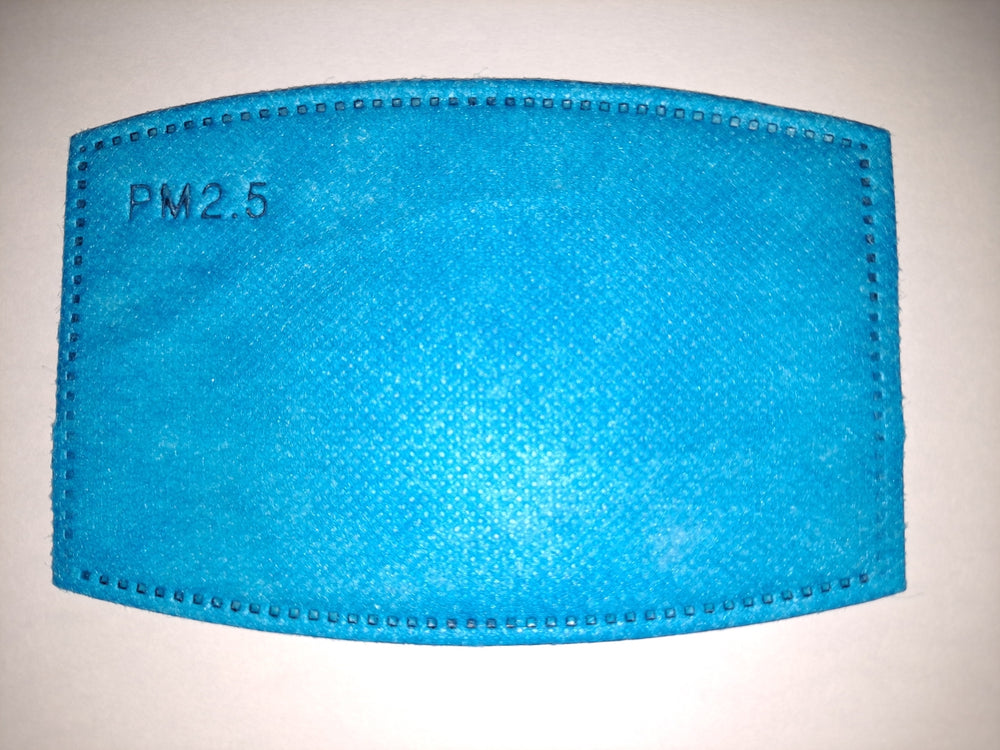 PM 2.5 Filters - 30 day supply
