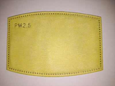 PM 2.5 Filters - 15 day supply